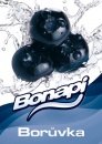 Bonapi BORŮVKA -  točené limonády postmix