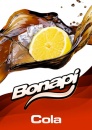 Bonapi COLA - točené limonády postmix
