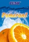 Sirup POMERANČ , 10l kanystr