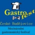CESK na Gastrofestu 2011