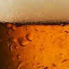 Chlazení piva: Dobře vychlazené pivo je základ