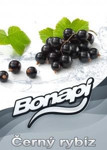Bonapi ČERNÝ RYBÍZ - točené limonády post-mix (10l kanystr)