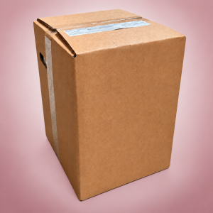BONAPI VIŠEŇ – koncentrát pro postmix 20 l Bag in Box