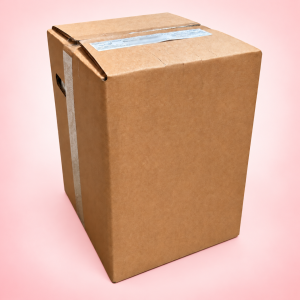 BONAPI Lesní jahoda – koncentrát pro post-mix 20 l Bag in Box
