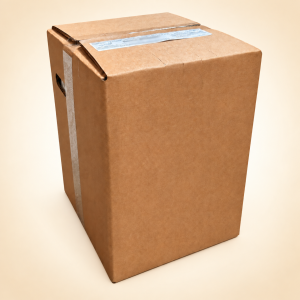 BONAPI ZÁZVOR – koncentrát pro postmix 20 l Bag in Box