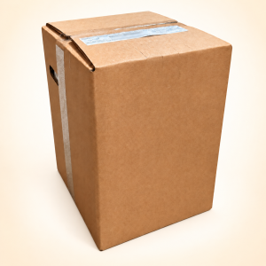 BONAPI LIVIE – koncentrát pro postmix 20 l Bag in Box
