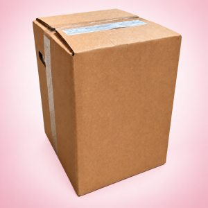 BONAPI BRUSINKA  – koncentrát pro postmix 20 l Bag in Box
