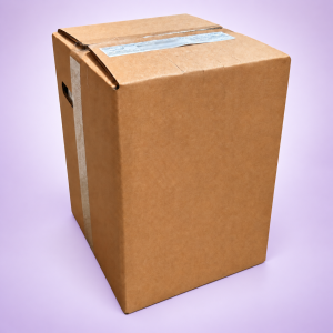 BONAPI ČERNÝ RYBÍZ – koncentrát pro postmix 20 l Bag in Box