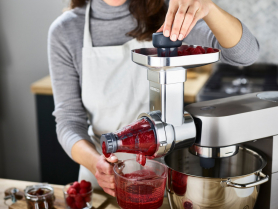 img/Kenwood/bobule1.jpg
