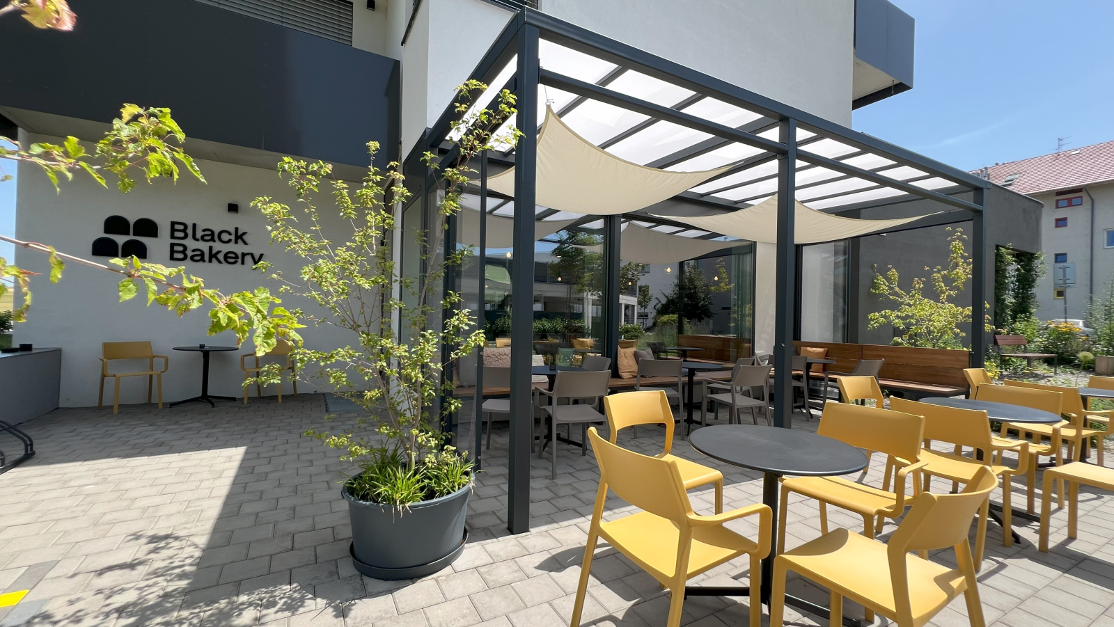 BLACK BAKERY: OD NÁPADU K PRVNÍMU CROISSANTU – S CESKEM PO BOKU